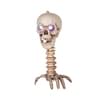 Calavera de la muerte con luz