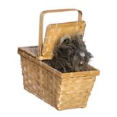 Cesta de Dorothy con Toto deluxe
