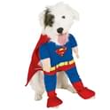 Disfraz de Superman para perro