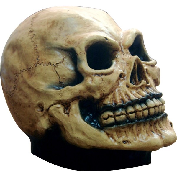 2 x crâne avec fleurs vinyle autocollants effrayant horreur halloween creepy #7685