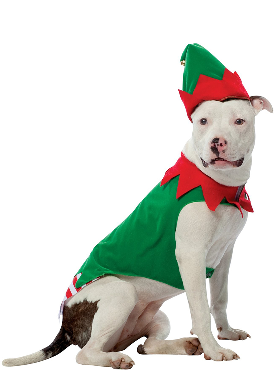 Aire acondicionado Abundante oleada Disfraces navideños para Perros: El regalo ideal para tu mascota